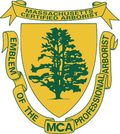 Maryland Certified Arborist