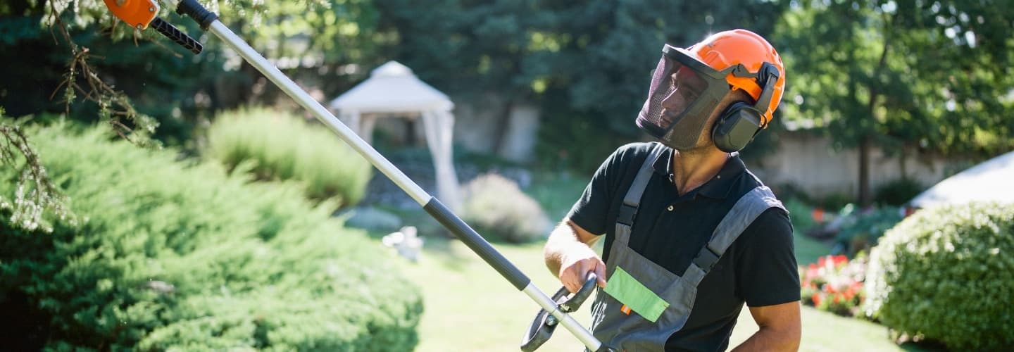 Arborist using a pole saw to raise a tree's crown over a garden