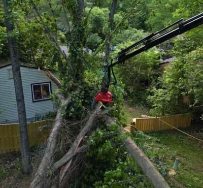 Tree fallen across a residential property after a storm