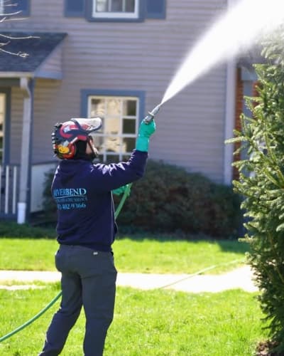 Arborist applying treatment to a tree trunk